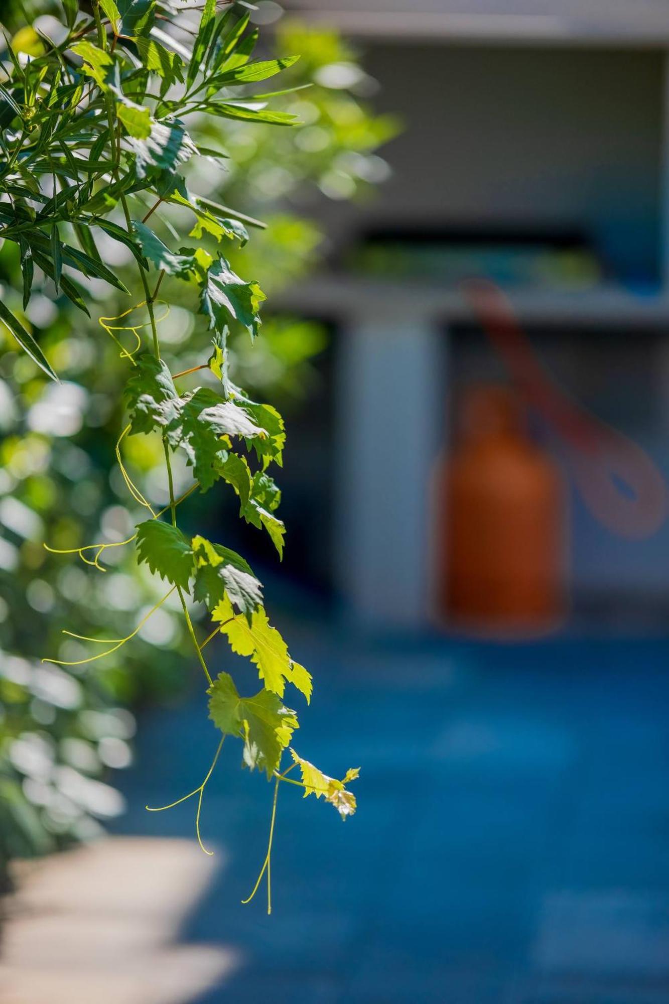 Villa Essenza - Luksuzne Kuce Za Odmor Vodice Extérieur photo