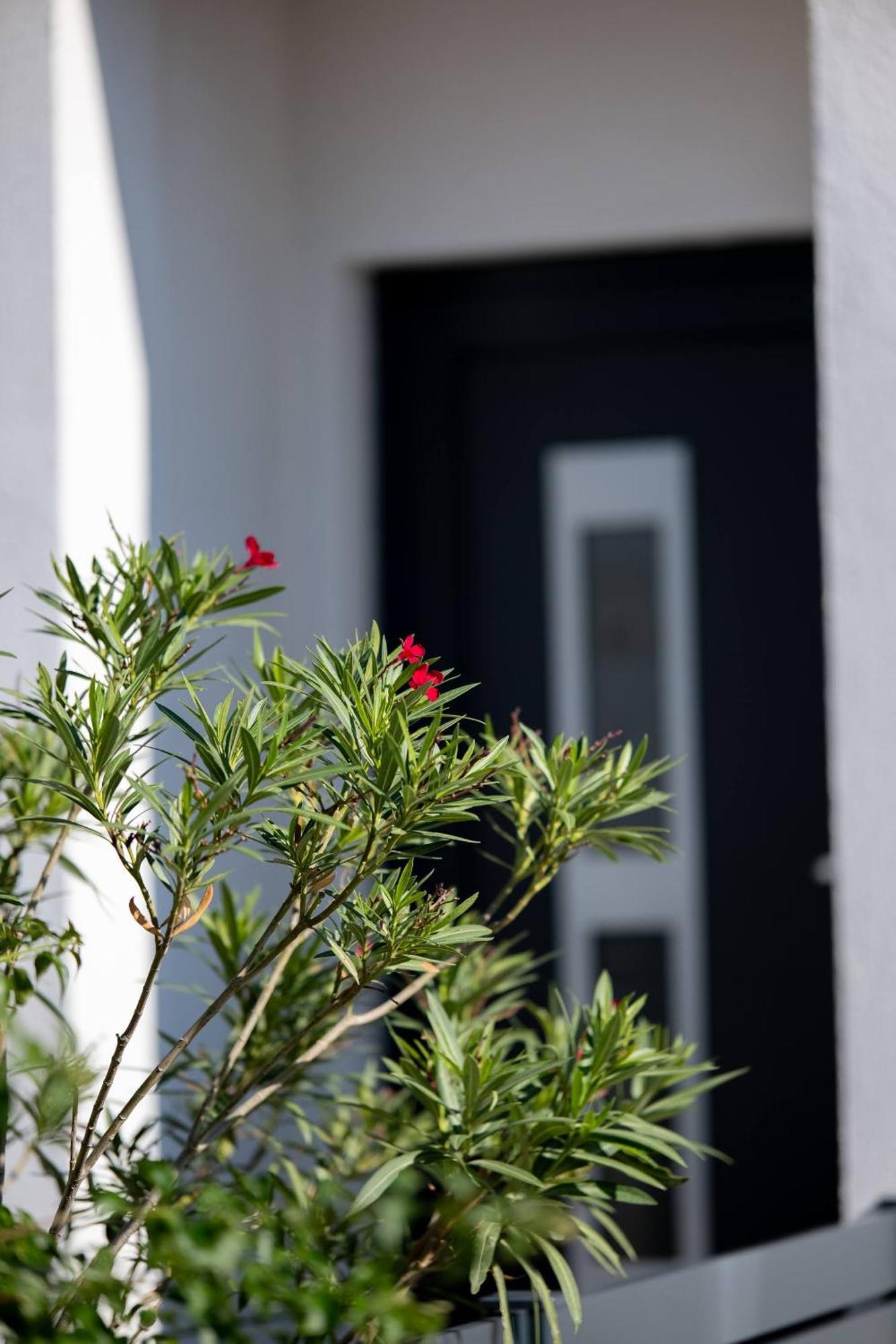 Villa Essenza - Luksuzne Kuce Za Odmor Vodice Extérieur photo